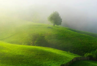 ​独一无二俩字情侣网名(215个)