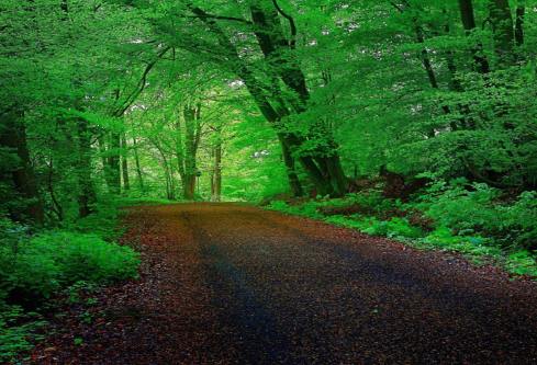 1690627999812251.png image.png