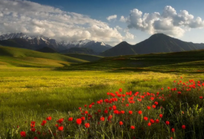 ​火星文情侣名字带符号(共145个)