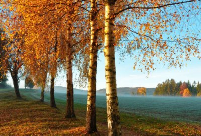 ​独一无二的游戏情侣名字(共148个)