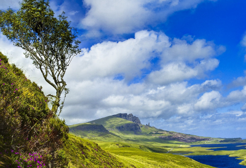 1690631169581502.png image.png