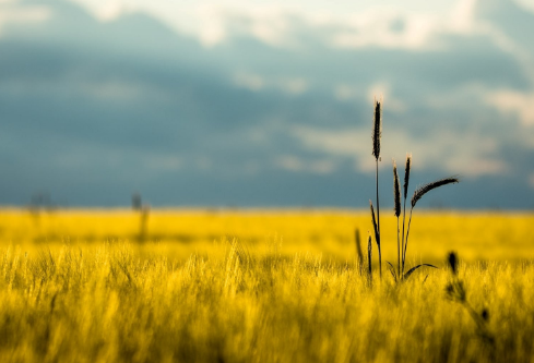 1690631335270771.png image.png