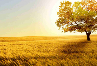 ​2023最火带符号情侣网名(147个)