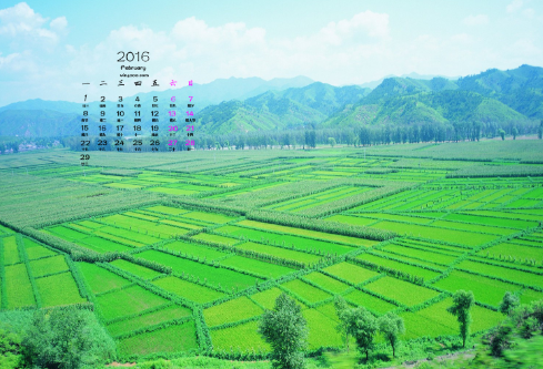 1690632834230073.png image.png