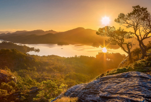 1690633166143112.png image.png