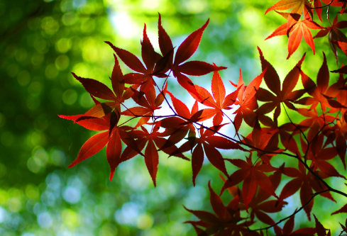 1690633333790162.png image.png