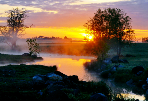 1690633499808673.png image.png