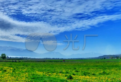 1690633832655575.png image.png