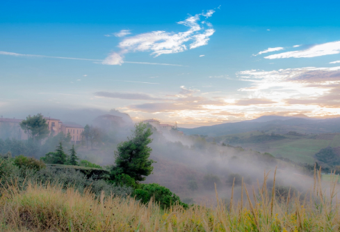 1690633998900679.png image.png