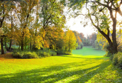 ​善良的情侣网名(精选140个)