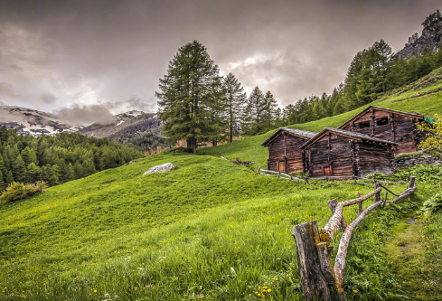 1690635661719233.png image.png