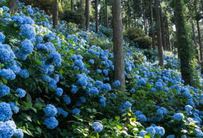 ​好听的qq游戏情侣名字大全(精选140个)