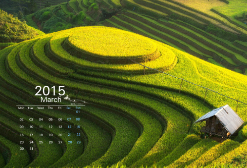 1690637991623791.png image.png