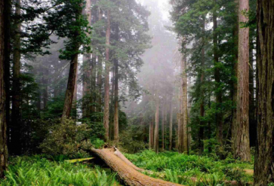 ​又欲又撩的情侣名字(147个)