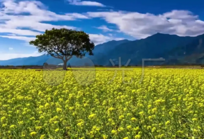 ​七夕情人节唯美好听的情侣网名(精选140个)