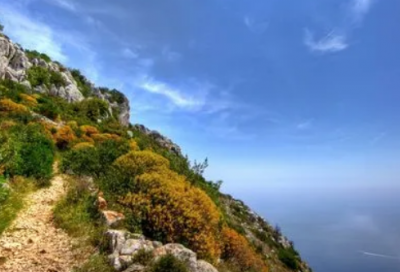 ​稀有漂亮符号情侣昵称(87个)