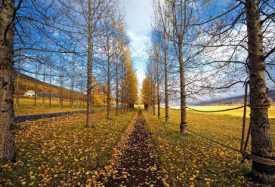 ​唯美情侣网名一对(精选136个)