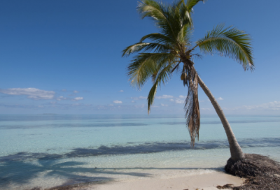 ​超经典的情侣网名大全(共123个)