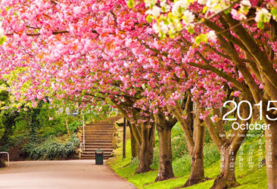 ​比较皮的情侣游戏名字(123个)