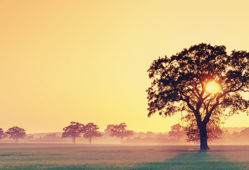 1690642650956133.png image.png