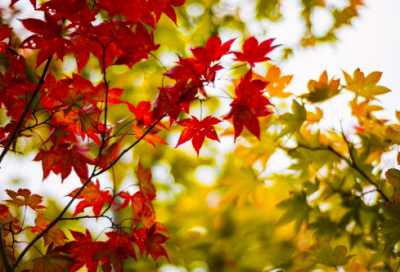 ​比较有寓意的情侣网名(129个)