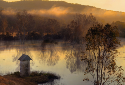 ​唯独专宠你的情侣名(共169个)