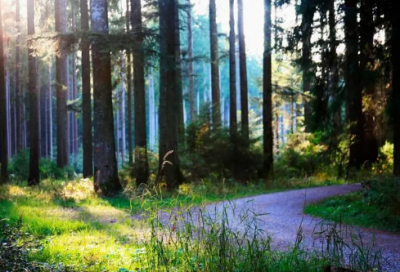 ​倩女幽魂情侣诗意网名(精选141个)