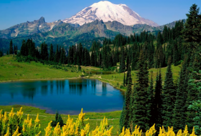 ​好听的情侣名带符号4个字(精选132个)