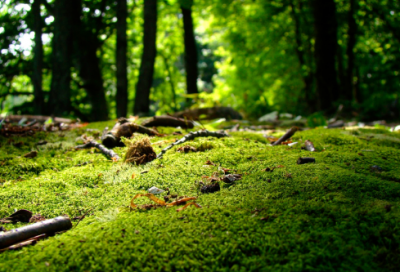 ​非主流唯美情侣游戏名字(131个)