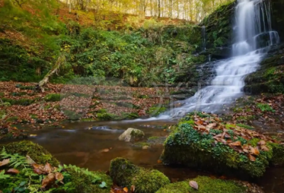 ​王者情侣id带对方名字(优选121个)