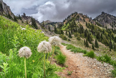 ​不俗气好听难忘唯美的情侣名(优选134个)