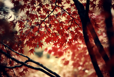 ​好看的QQ三国情侣名字(113个)