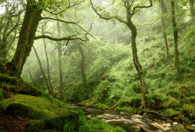 ​网名独宠偏爱情侣名(精选159个)