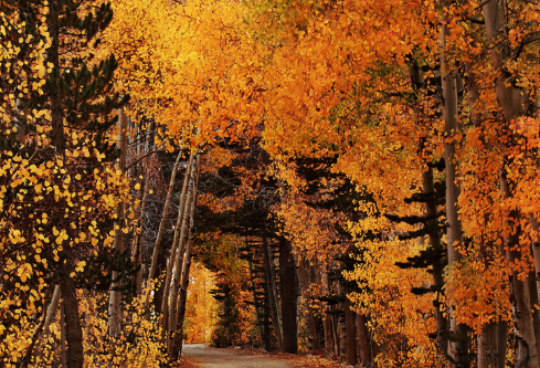 1690652970445241.png image.png