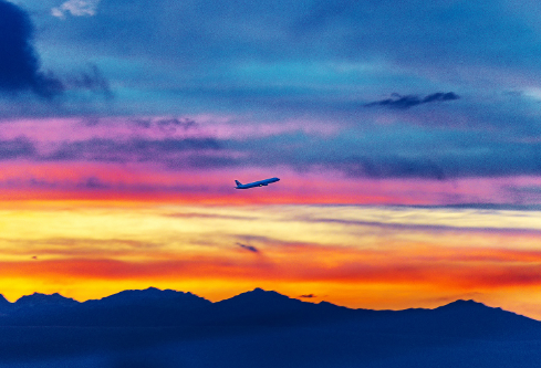 1690653636969964.png image.png