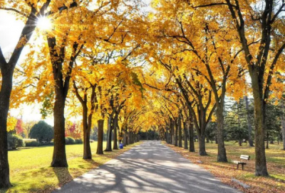 ​抖音微信情侣网名大全(共128个)