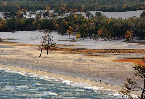 1690654135537237.png image.png