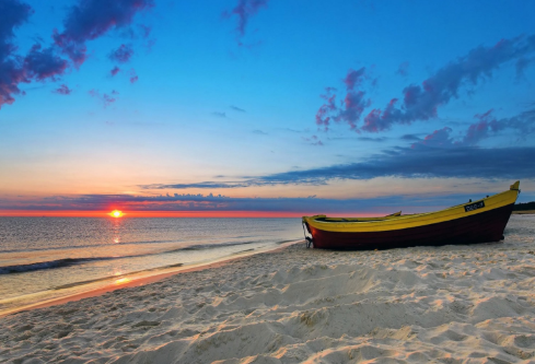 1690655300445303.png image.png