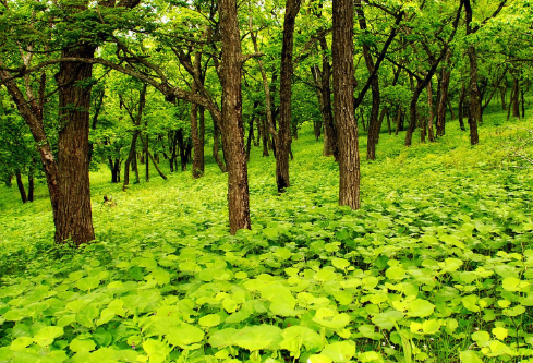 1690655466742045.png image.png