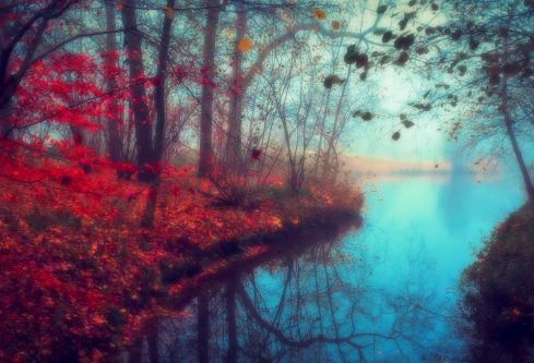 1690657132411632.png image.png