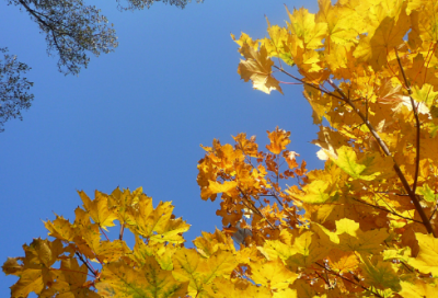 ​dnf游戏情侣名字一对简洁(优选128个)