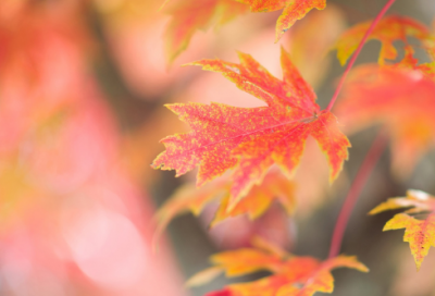 ​令人感到幸福的QQ情侣网名 感觉温馨幸福的情侣网名