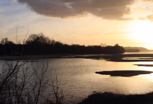 1690658131378664.png image.png