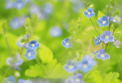 ​独一无二情侣游戏名字(精选122个)