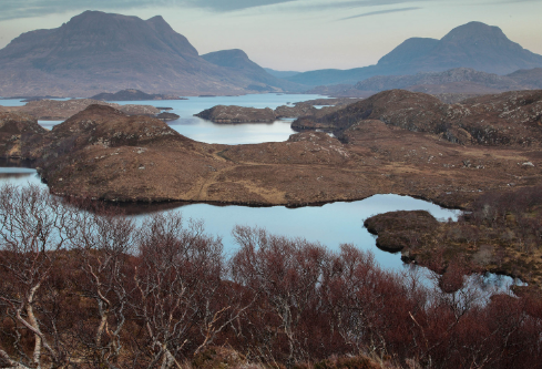 1690660129384059.png image.png