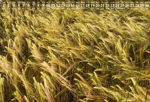 1690660629485343.png image.png