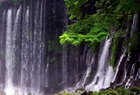 1690660795226074.png image.png