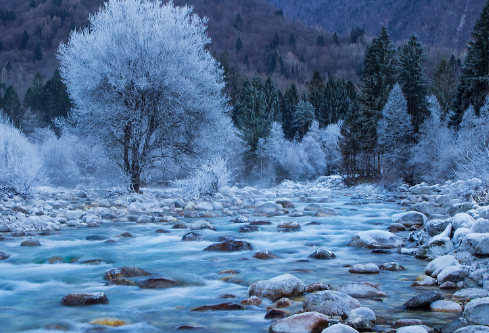 1690660962298301.png image.png