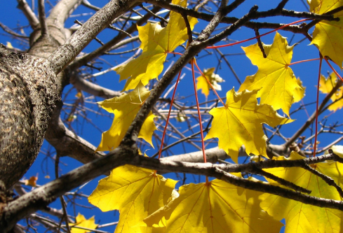 1690662794149660.png image.png