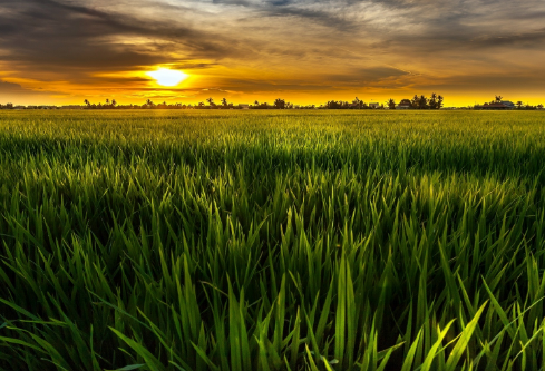 1690665458653701.png image.png